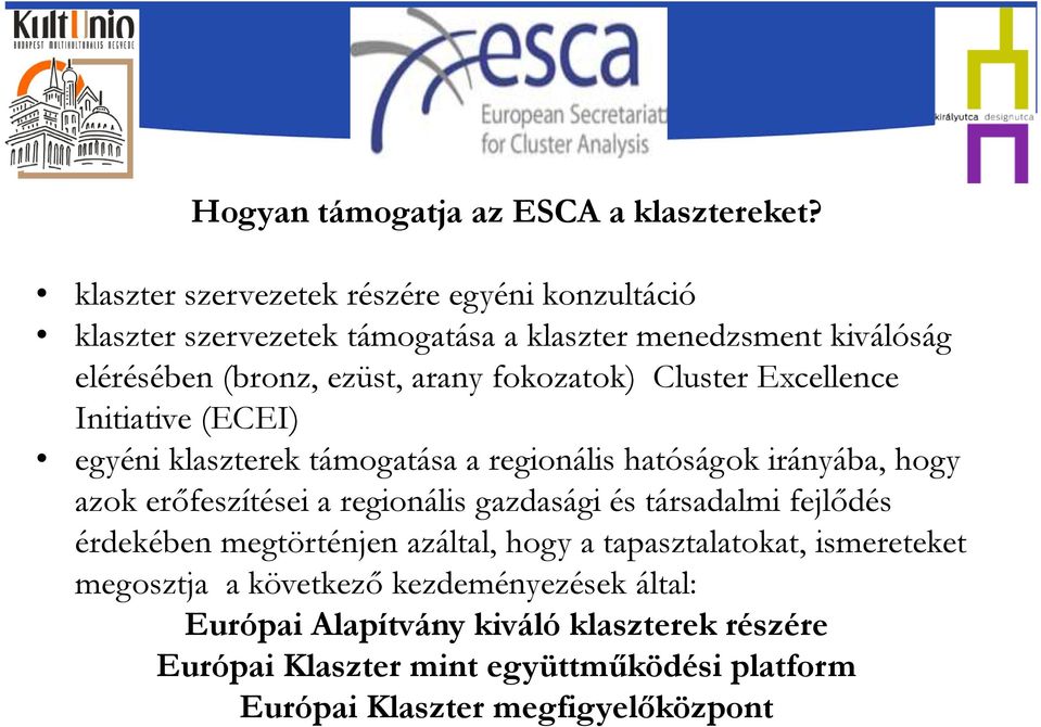 fokozatok) Cluster Excellence Initiative (ECEI) egyéni klaszterek támogatása a regionális hatóságok irányába, hogy azok erőfeszítései a regionális