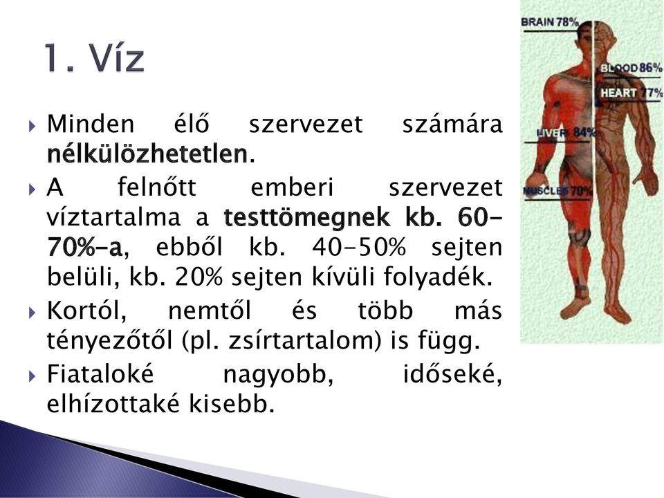 60-70%-a, ebből kb. 40-50% sejten belüli, kb. 20% sejten kívüli folyadék.