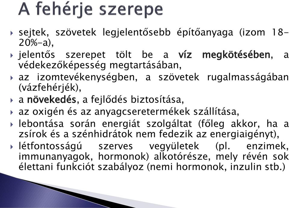 anyagcseretermékek szállítása, lebontása során energiát szolgáltat (főleg akkor, ha a zsírok és a szénhidrátok nem fedezik az