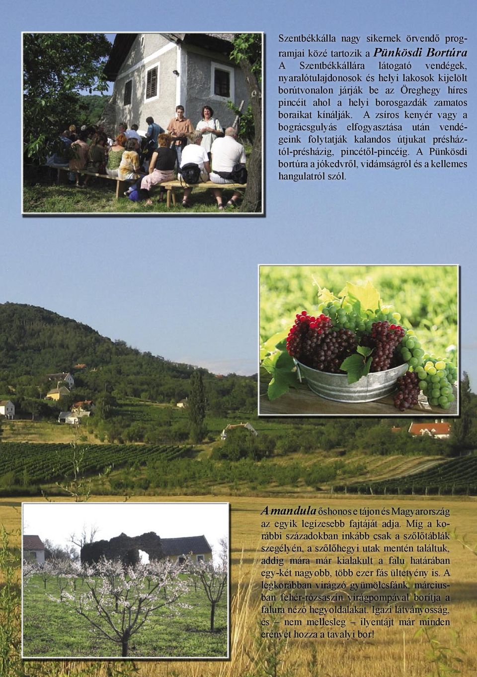 A Pünkösdi bortúra a jókedvről, vidámságról és a kellemes hangulatról szól. A mandula őshonos e tájon és Magyarország az egyik legízesebb fajtáját adja.