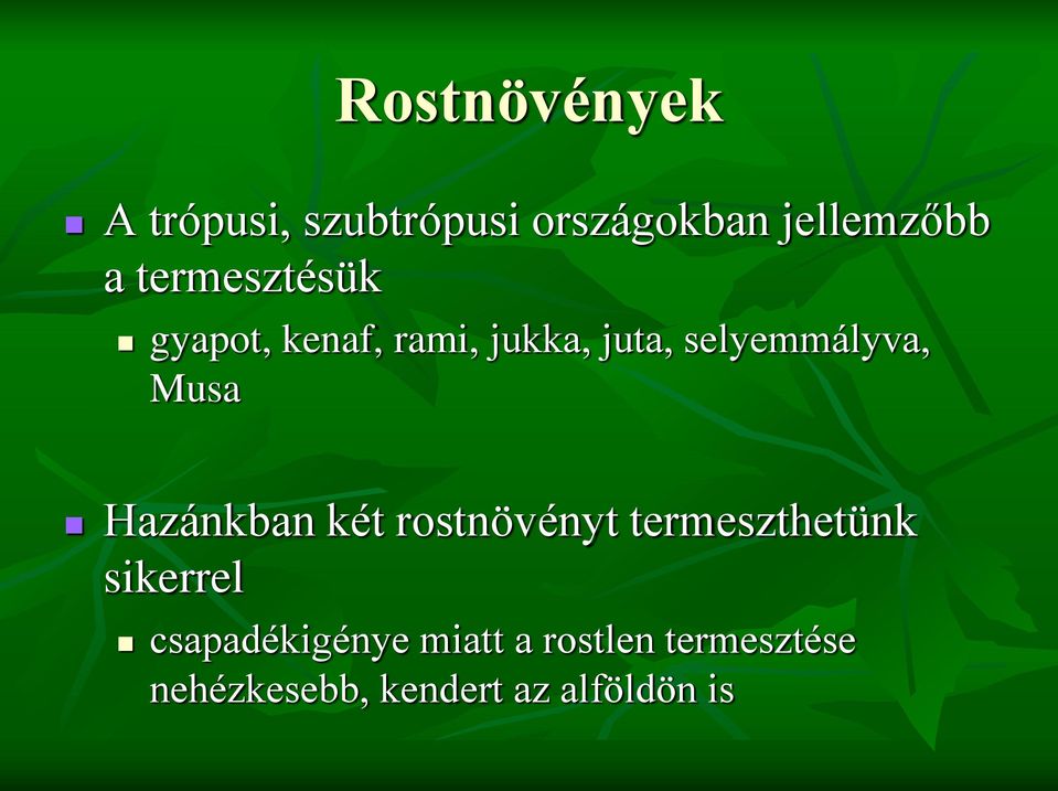 Musa Hazánkban két rostnövényt termeszthetünk sikerrel