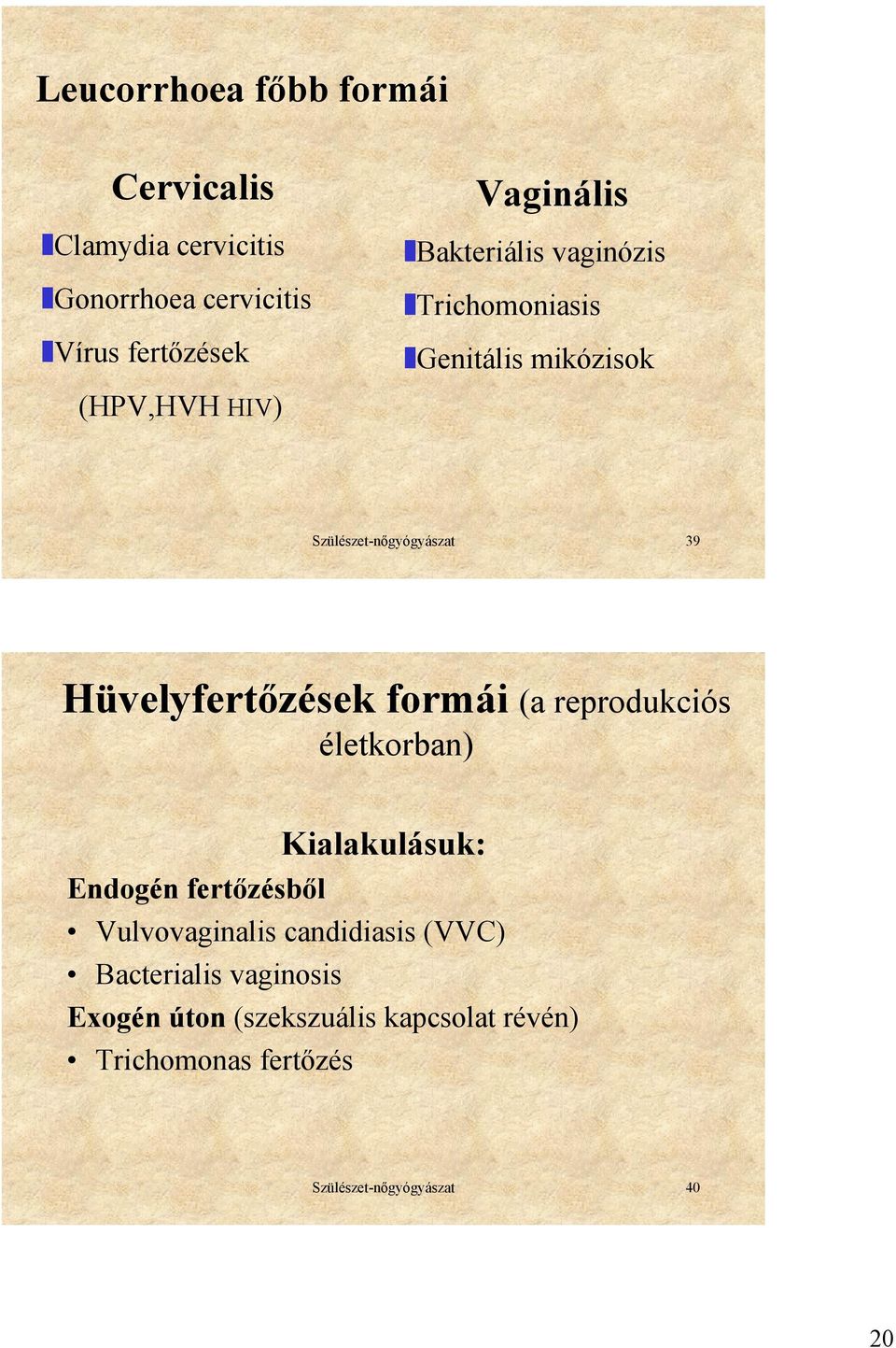 Hüvelyfertőzések formái (a reprodukciós életkorban) Kialakulásuk: Endogén fertőzésből Vulvovaginalis
