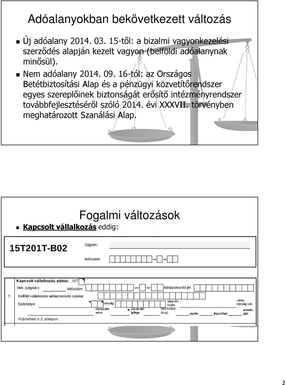 törvényben meghatározott Szanálási Alap.