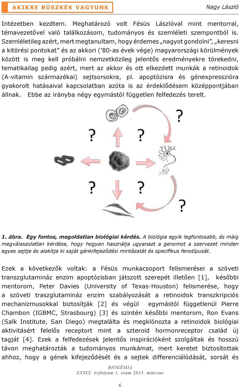 jelentős eredményekre törekedni, tematikailag pedig azért, mert az akkor és ott elkezdett munkák a retinoidok (A-vitamin származékai) sejtsorsokra, pl.