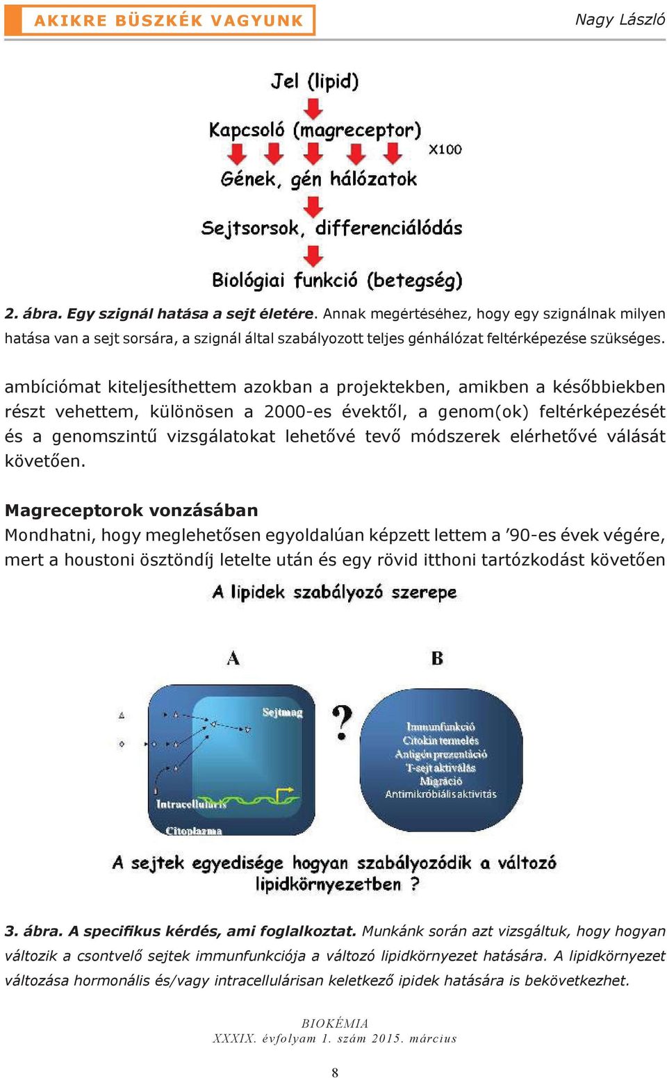 ambíciómat kiteljesíthettem azokban a projektekben, amikben a későbbiekben részt vehettem, különösen a 2000-es évektől, a genom(ok) feltérképezését és a genomszintű vizsgálatokat lehetővé tevő