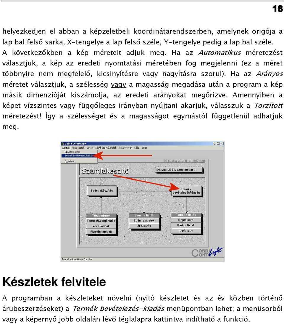 Ha az Automatikus méretezést választjuk, a kép az eredeti nyomtatási méretében fog megjelenni (ez a méret többnyire nem megfelelı, kicsinyítésre vagy nagyításra szorul).