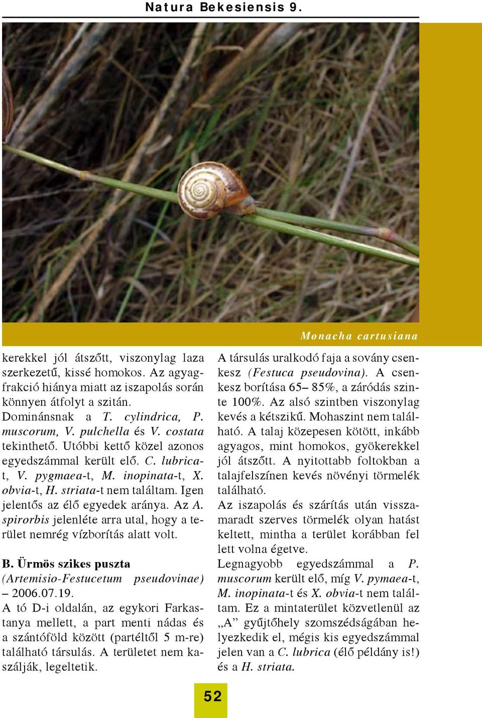 Igen jelentős az élő egyedek aránya. Az A. spirorbis jelenléte arra utal, hogy a terület nemrég vízborítás alatt volt. B. Ürmös szikes puszta (Artemisio-Festucetum pseudovinae) 2006.07.19.