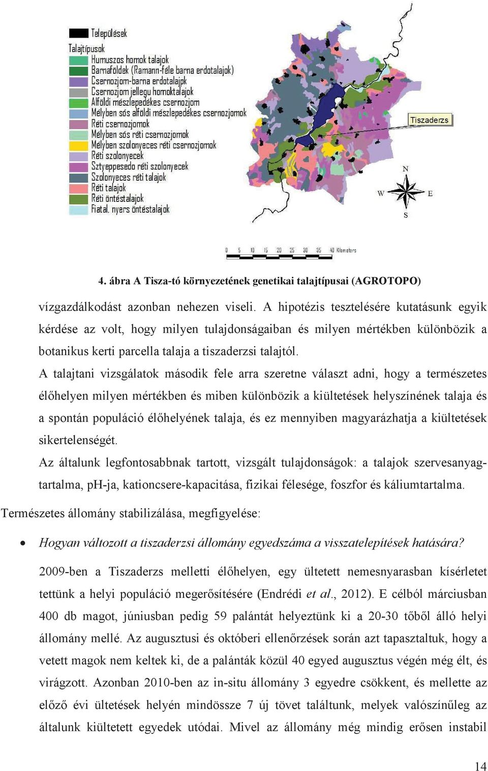 A talajtani vizsgálatok második fele arra szeretne választ adni, hogy a természetes él helyen milyen mértékben és miben különbözik a kiültetések helyszínének talaja és a spontán populáció él helyének