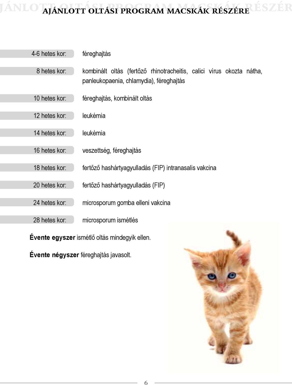 hetes kor: veszettség, féreghajtás 18 hetes kor: fertőző hashártyagyulladás (FIP) intranasalis vakcina 20 hetes kor: fertőző hashártyagyulladás (FIP) 24 hetes