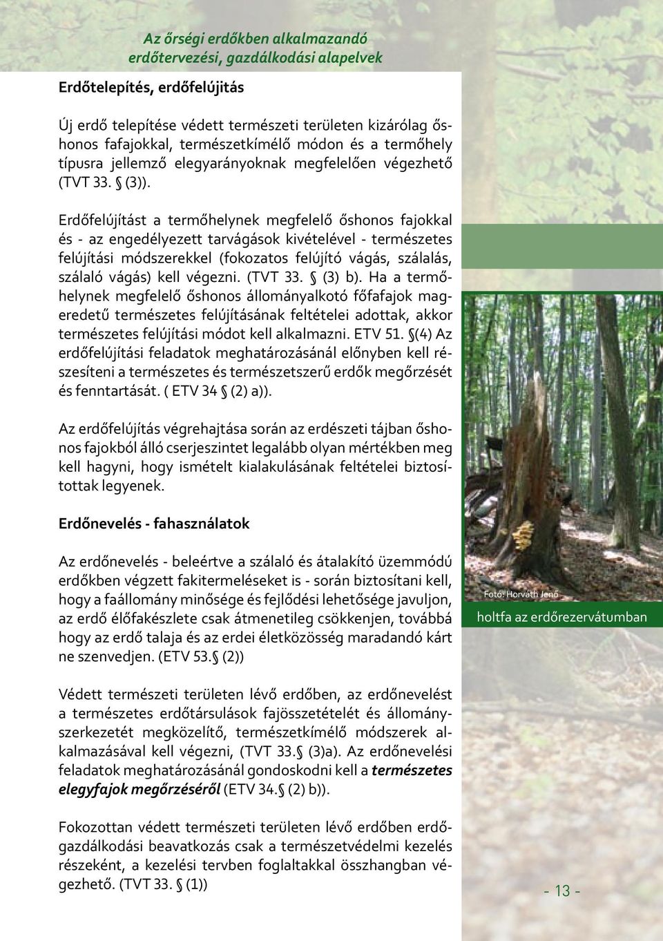 Erdőfelújítást a termőhelynek megfelelő őshonos fajokkal és - az engedélyezett tarvágások kivételével - természetes felújítási módszerekkel (fokozatos felújító vágás, szálalás, szálaló vágás) kell