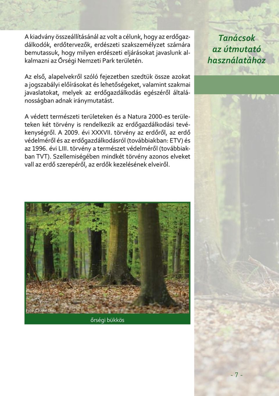 Tanácsok az útmutató használatához Az első, alapelvekről szóló fejezetben szedtük össze azokat a jogszabályi előírásokat és lehetőségeket, valamint szakmai javaslatokat, melyek az erdőgazdálkodás