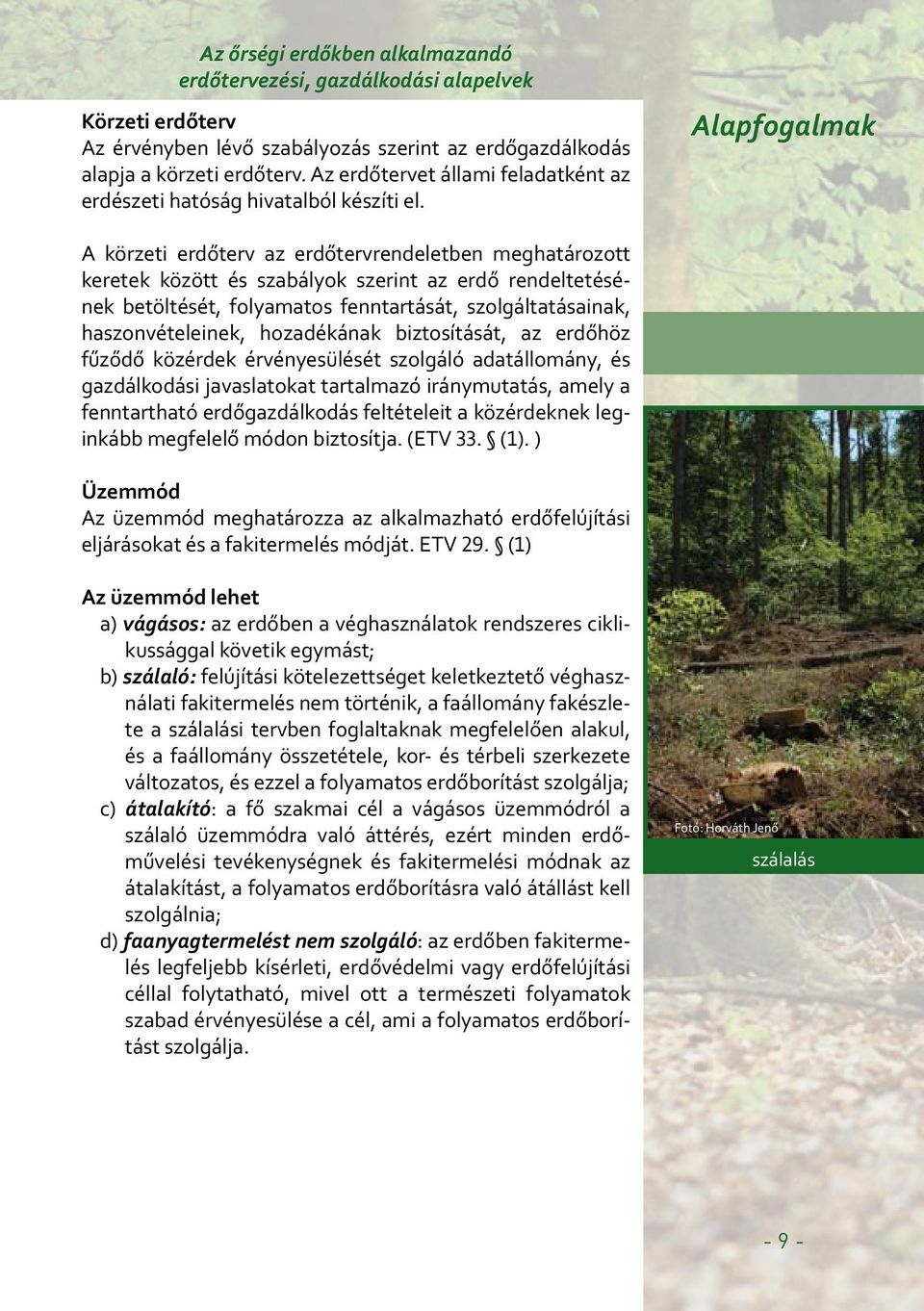 Alapfogalmak A körzeti erdőterv az erdőtervrendeletben meghatározott keretek között és szabályok szerint az erdő rendeltetésének betöltését, folyamatos fenntartását, szolgáltatásainak,