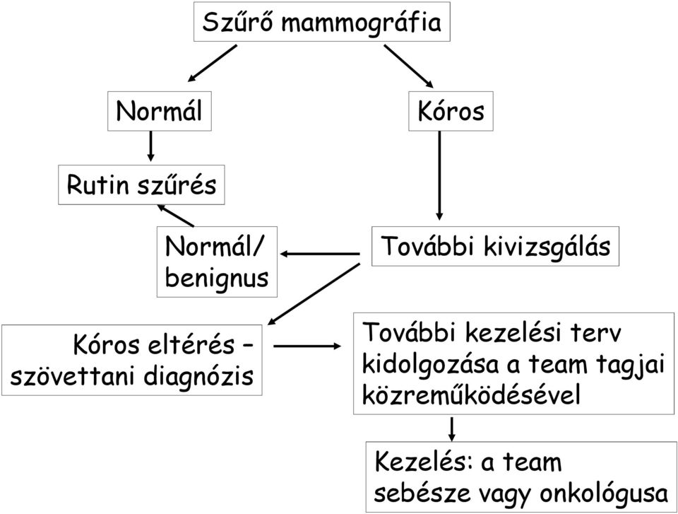 kivizsgálás További kezelési terv kidolgozása a team