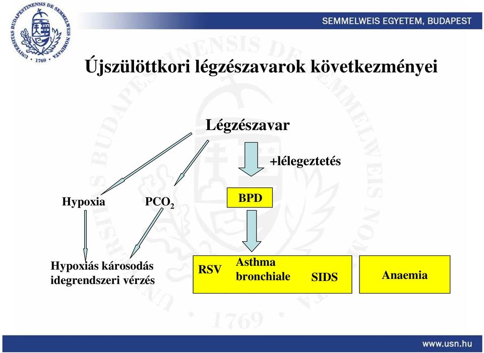 Hypoxia PCO 2 BPD Hypoxiás károsodás