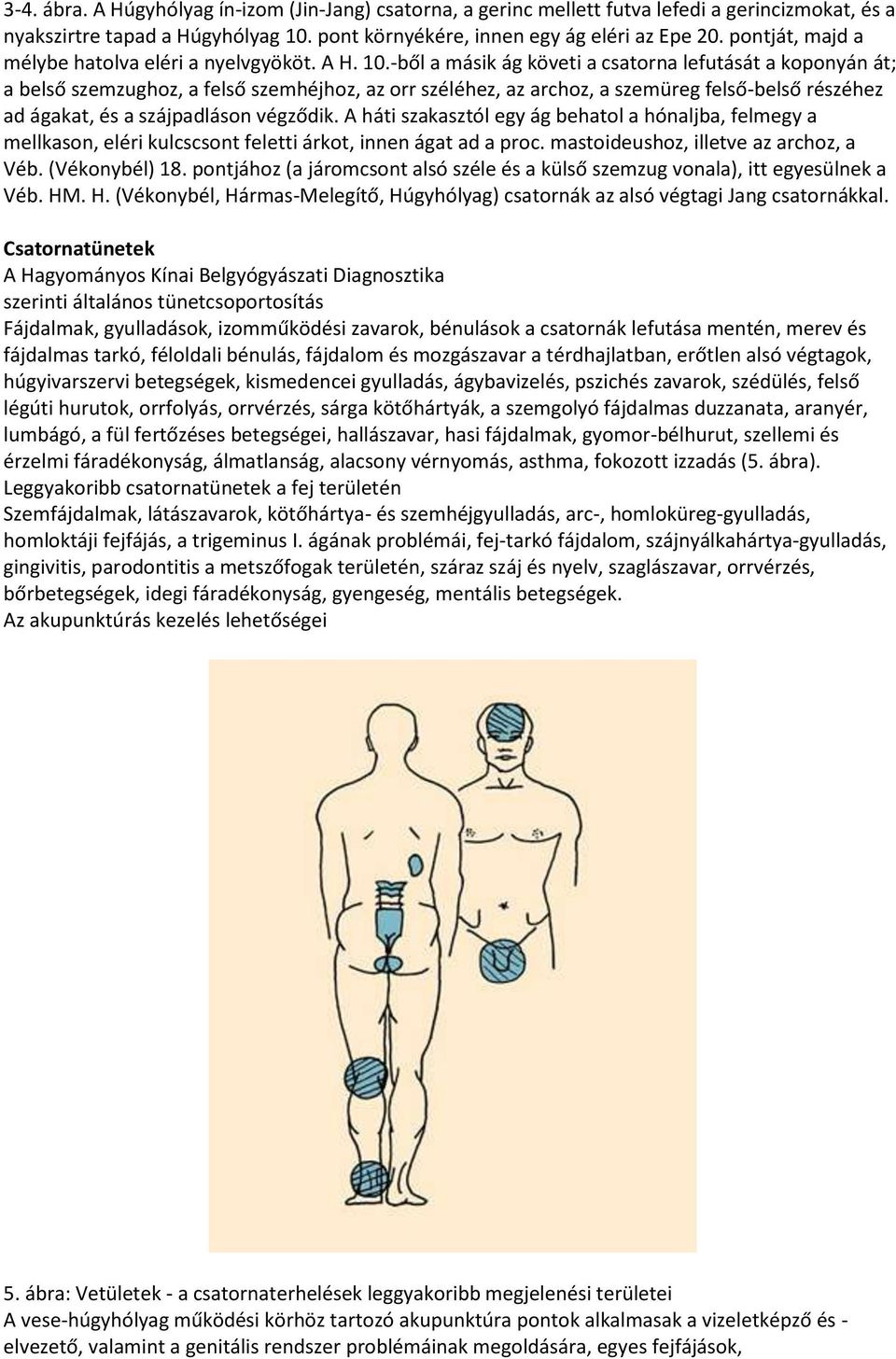 -ből a másik ág követi a csatorna lefutását a koponyán át; a belső szemzughoz, a felső szemhéjhoz, az orr széléhez, az archoz, a szemüreg felső-belső részéhez ad ágakat, és a szájpadláson végződik.