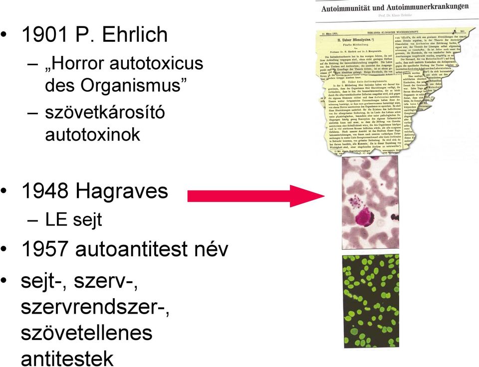 szövetkárosító autotoxinok 1948 Hagraves LE