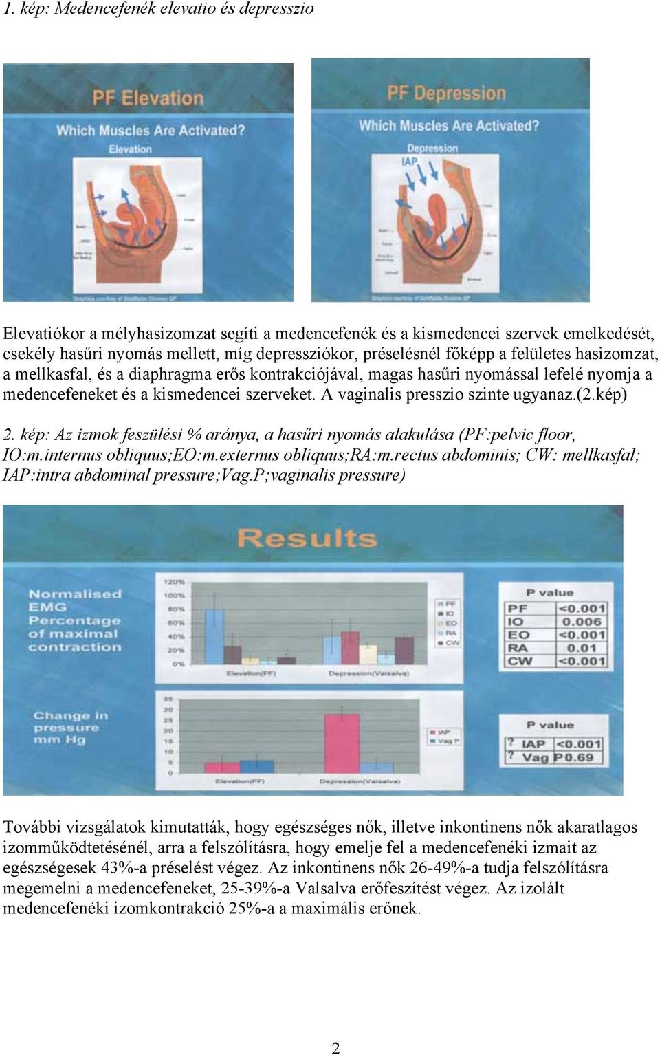 A vaginalis presszio szinte ugyanaz.(2.kép) 2. kép: Az izmok feszülési % aránya, a hasűri nyomás alakulása (PF:pelvic floor, IO:m.internus obliquus;eo:m.externus obliquus;ra:m.