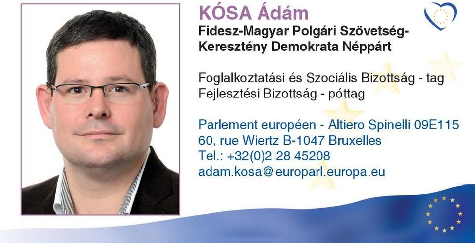 tag Fejlesztési Bizottság - póttag Parlement européen -