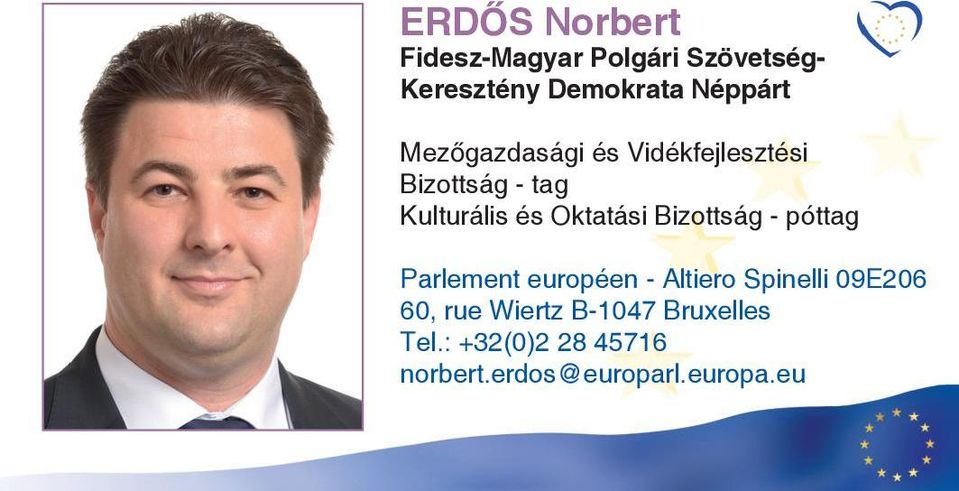 tag Kulturális és Oktatási Bizottság - póttag Parlement européen -