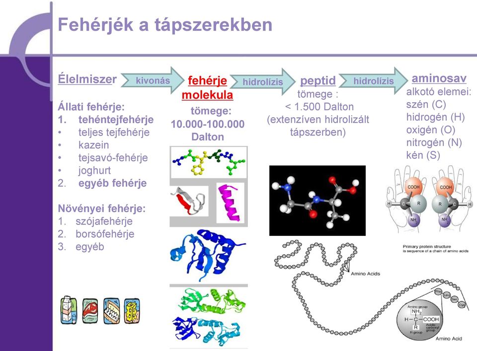 egyéb fehérje fehérje molekula tömege: 10.000-100.000 Dalton hidrolízis peptid hidrolízis tömege : < 1.