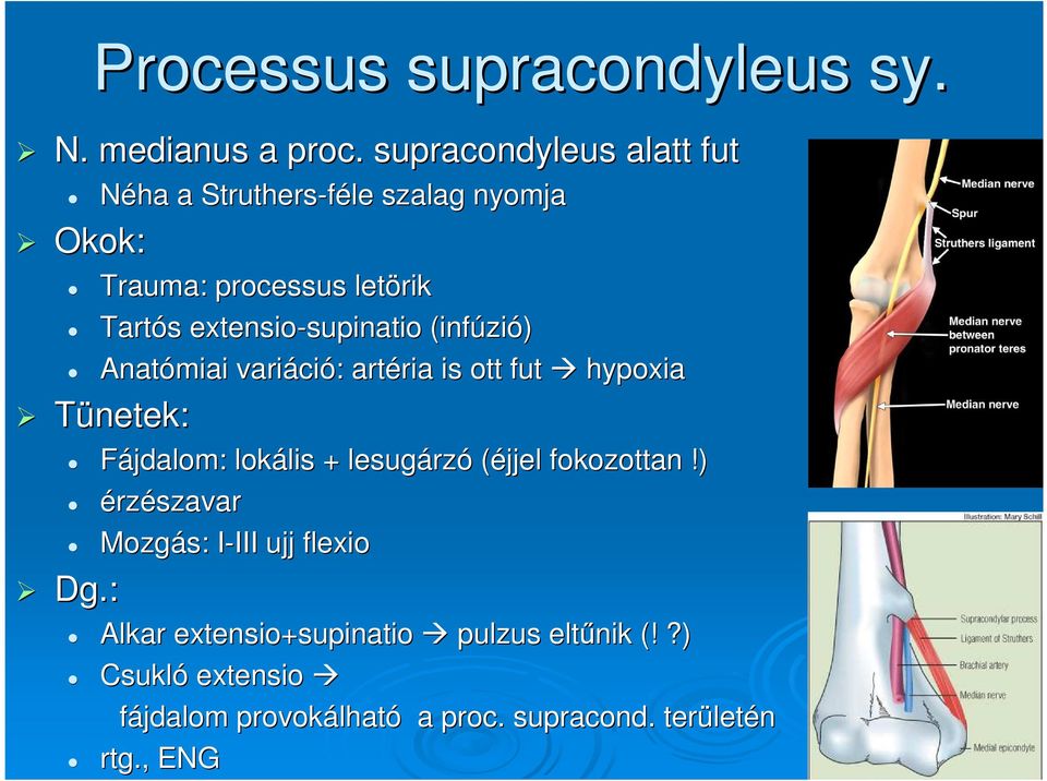 supinatio (infúzi zió) Anatómiai variáci ció: : artéria ria is ott fut hypoxia Tünetek: Dg.