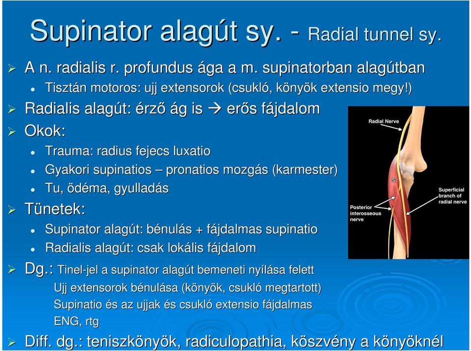 : Supinator alagút: bénulb nulás s + fájdalmas f supinatio Radialis alagút: csak lokális lis fájdalomf Dg.