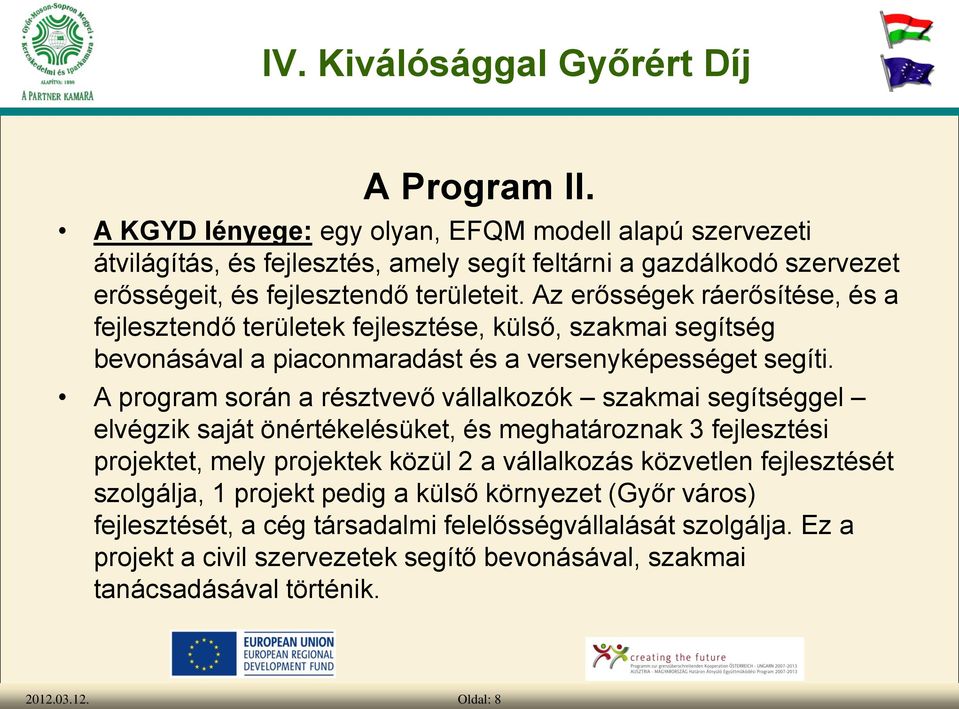 A program során a résztvevő vállalkozók szakmai segítséggel elvégzik saját önértékelésüket, és meghatároznak 3 fejlesztési projektet, mely projektek közül 2 a vállalkozás közvetlen