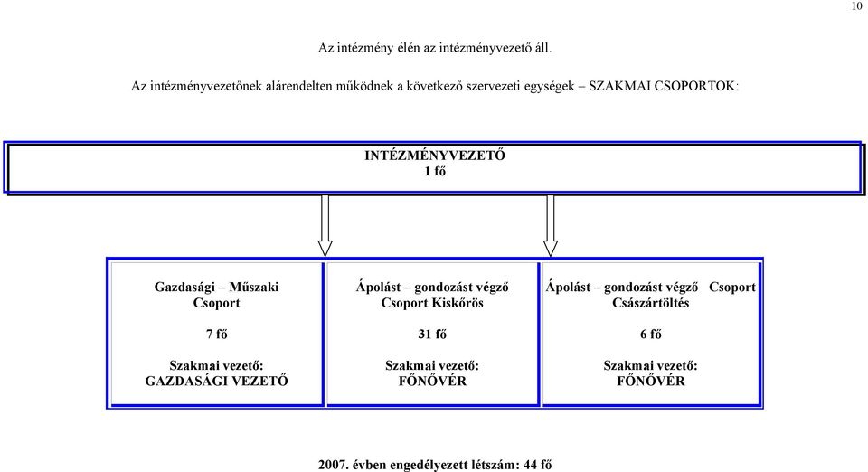 INTÉZMÉNYVEZETŐ 1 fő Gazdasági Műszaki Csoport 7 fő Szakmai vezető: GAZDASÁGI VEZETŐ Ápolást gondozást