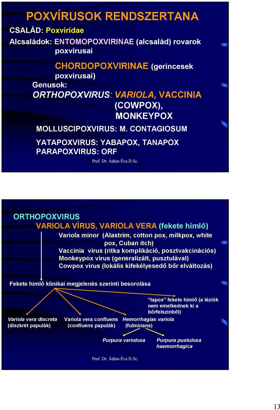 CONTAGIOSUM YATAPOXVIRUS: YABAPOX, TANAPOX PARAPOXVIRUS: ORF ORTHOPOXVIRUS VARIOLA VÍRUS, VARIOLA VERA (fekete himlı) Variola minor (Alastrim, cotton pox, milkpox, white pox, Cuban itch) Vaccinia
