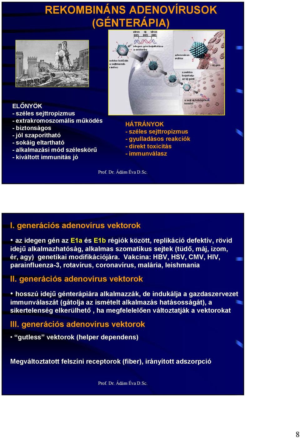 generációs adenovírus vektorok az idegen gén az E1a és E1b régiók között, replikáció defektív, rövid idejő alkalmazhatóság, alkalmas szomatikus sejtek (tüdı, máj, izom, ér, agy) genetikai