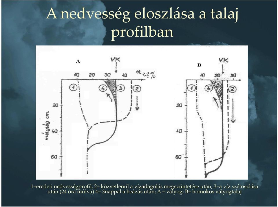 megszüntetése után, 3=a víz szétoszlása után (24 óra