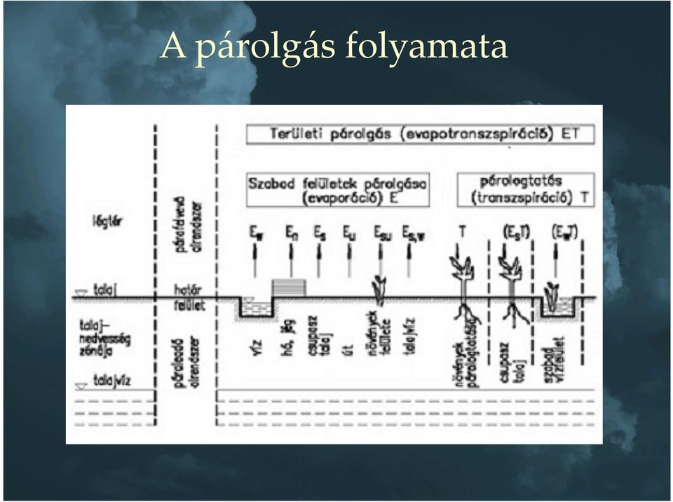 folyamata