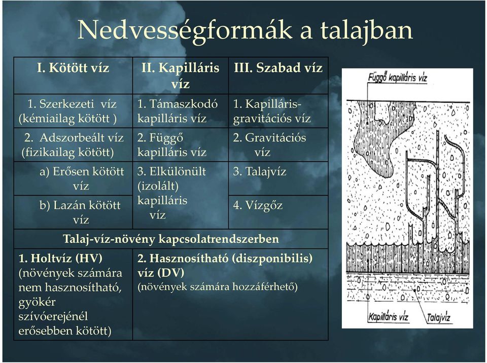 Elkülönült (izolált) kapilláris víz III. Szabad víz 1. Kapillárisgravitációs víz 2. Gravitációs víz 3. Talajvíz 4.