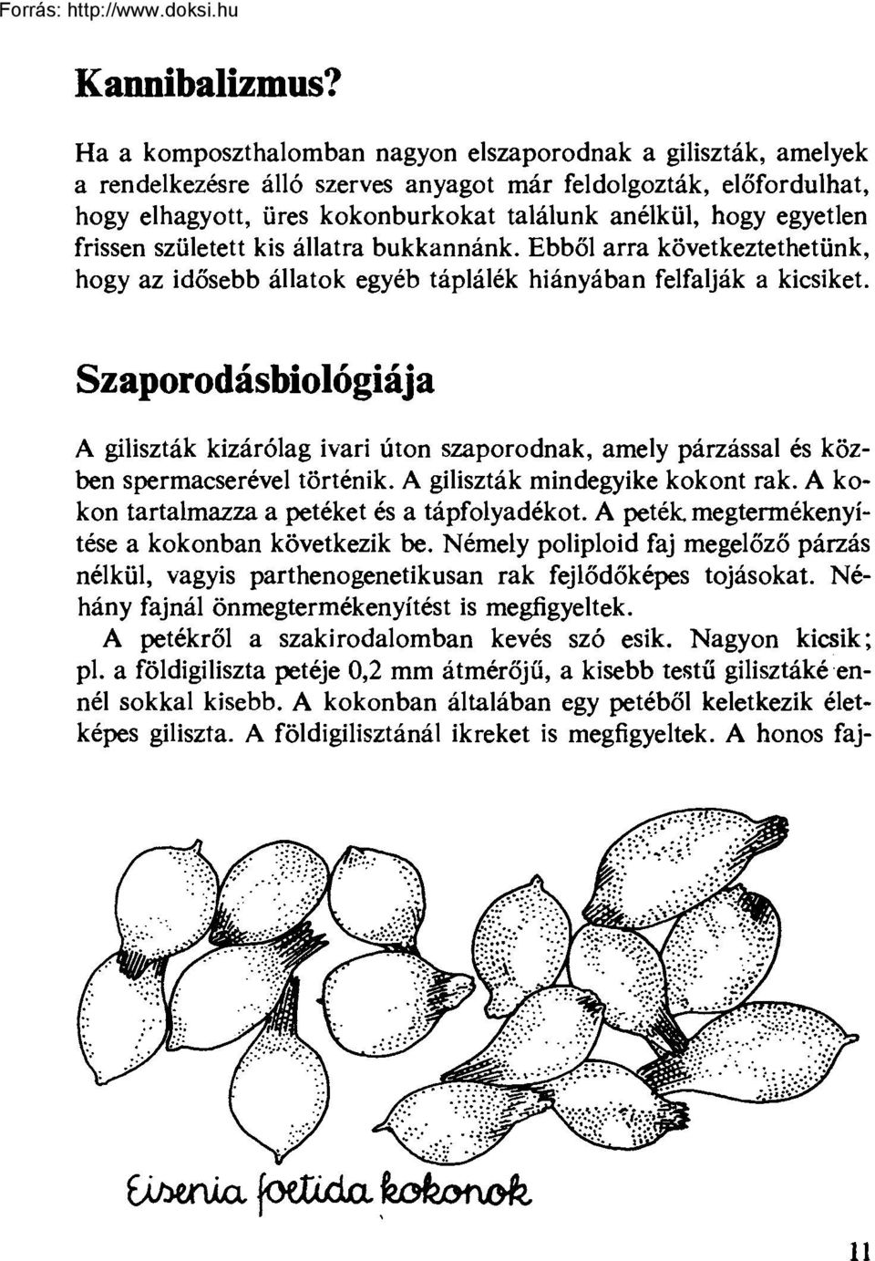 frissen született kis állatra bukkannánk. Ebből arra következtethetünk, hogy az idősebb állatok egyéb táplálék hiányában felfalják a kicsiket.