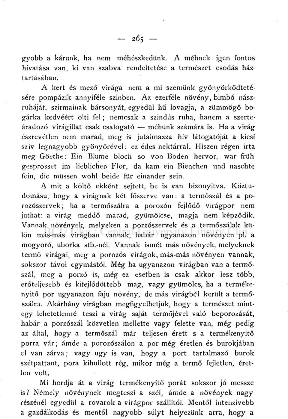 Az ezerféle növény, bimbó nászruháját, szirmainak bársonyát, egyedül hű lovagja, a zümmögő bogárka kedvéért ölti fel; nemcsak a színdús ruha, hanem a szerteáradozó virágillat csak csalogató méhünk