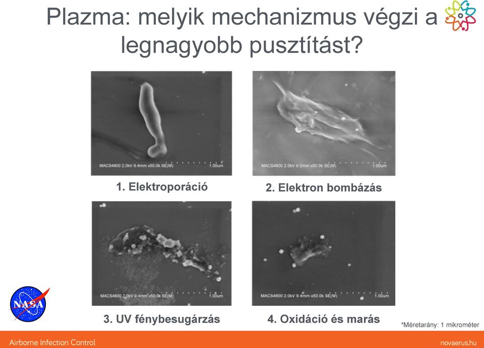 Elektroporáció 2. Elektron bombázás 3.