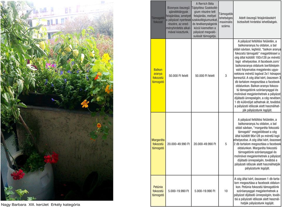000 Ft felett Margaréta fokozatú 20.000-49.990 Ft támogató Petúnia fokozatú támogató Nagy Barbara XIII. kerület Erkély kategória 5.000-19.