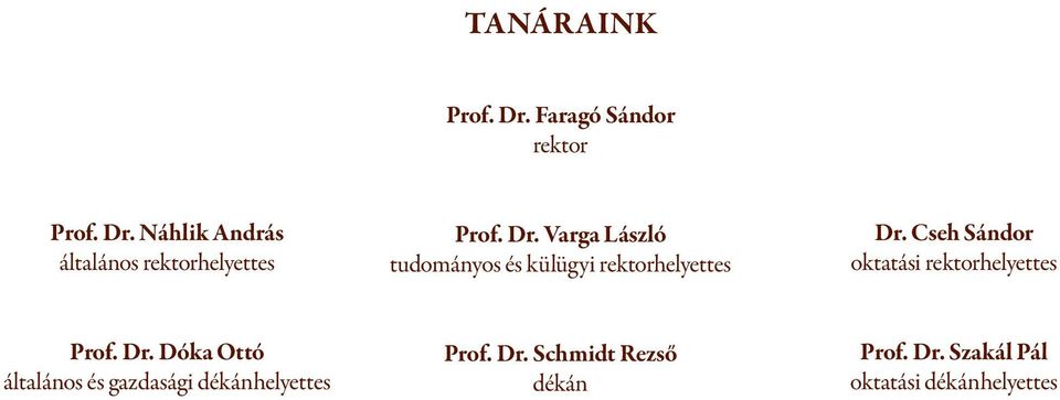 Cseh Sándor oktatási rektorhelyettes Prof. Dr.