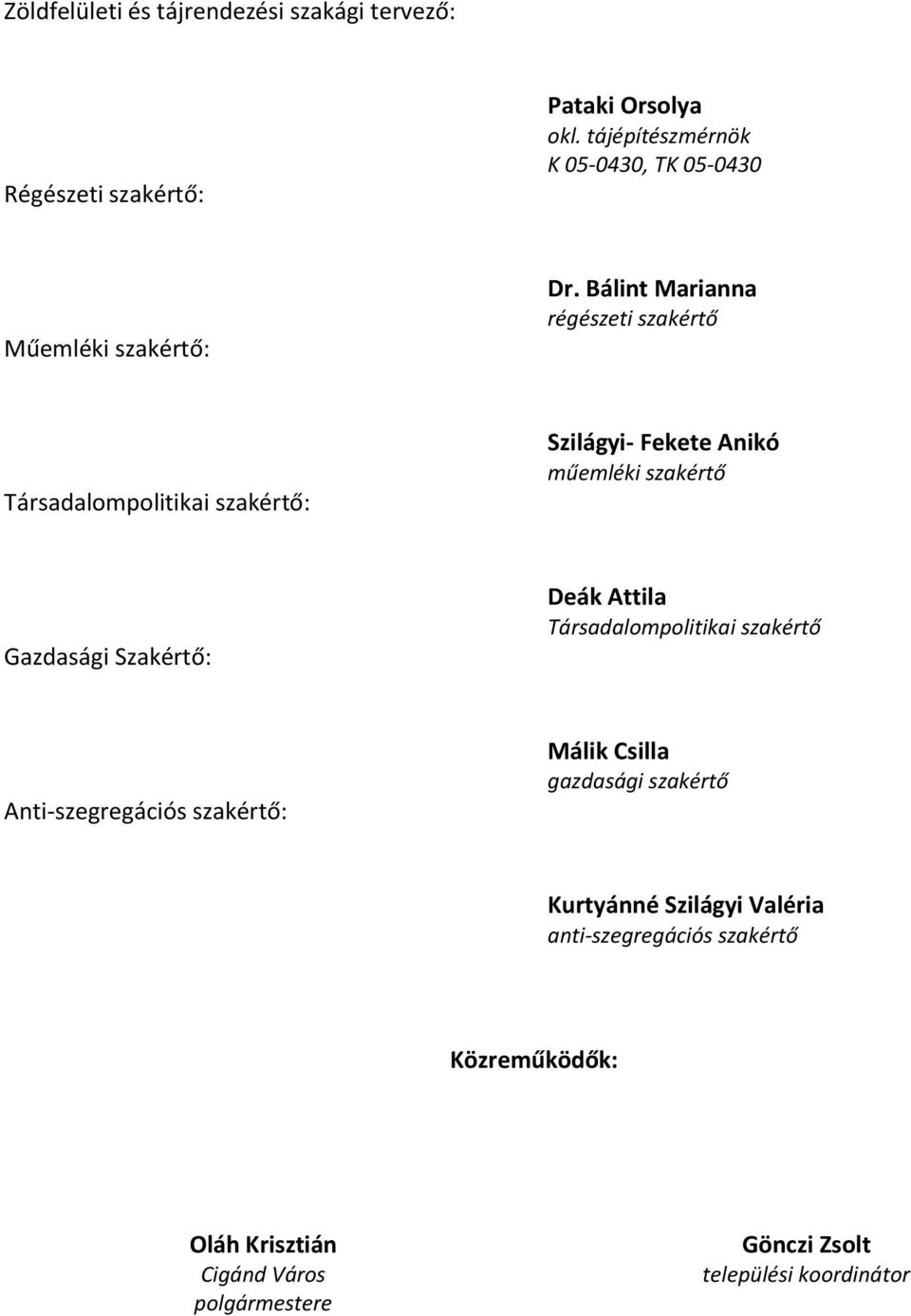 Bálint Marianna régészeti szakértő Társadalompolitikai szakértő: Szilágyi- Fekete Anikó műemléki szakértő Gazdasági Szakértő: