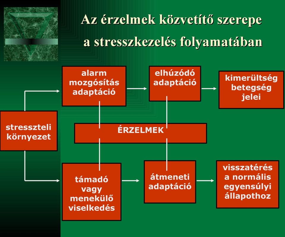 betegség jelei stresszteli környezet ÉRZELMEK támadó vagy