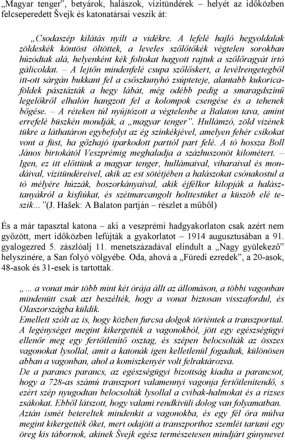 A lejtőn mindenfelé csupa szőlőskert, a levélrengetegből itt-ott sárgán bukkant fel a csőszkunyhó zsúpteteje, alantabb kukoricaföldek pásztázták a hegy lábát, még odébb pedig a smaragdszínű