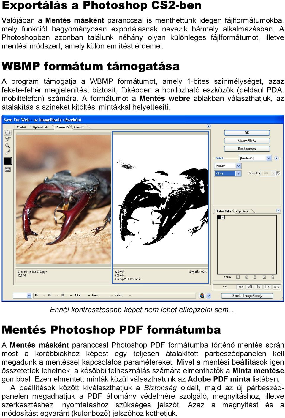 WBMP formátum támogatása A program támogatja a WBMP formátumot, amely 1-bites színmélységet, azaz fekete-fehér megjelenítést biztosít, főképpen a hordozható eszközök (például PDA, mobiltelefon)