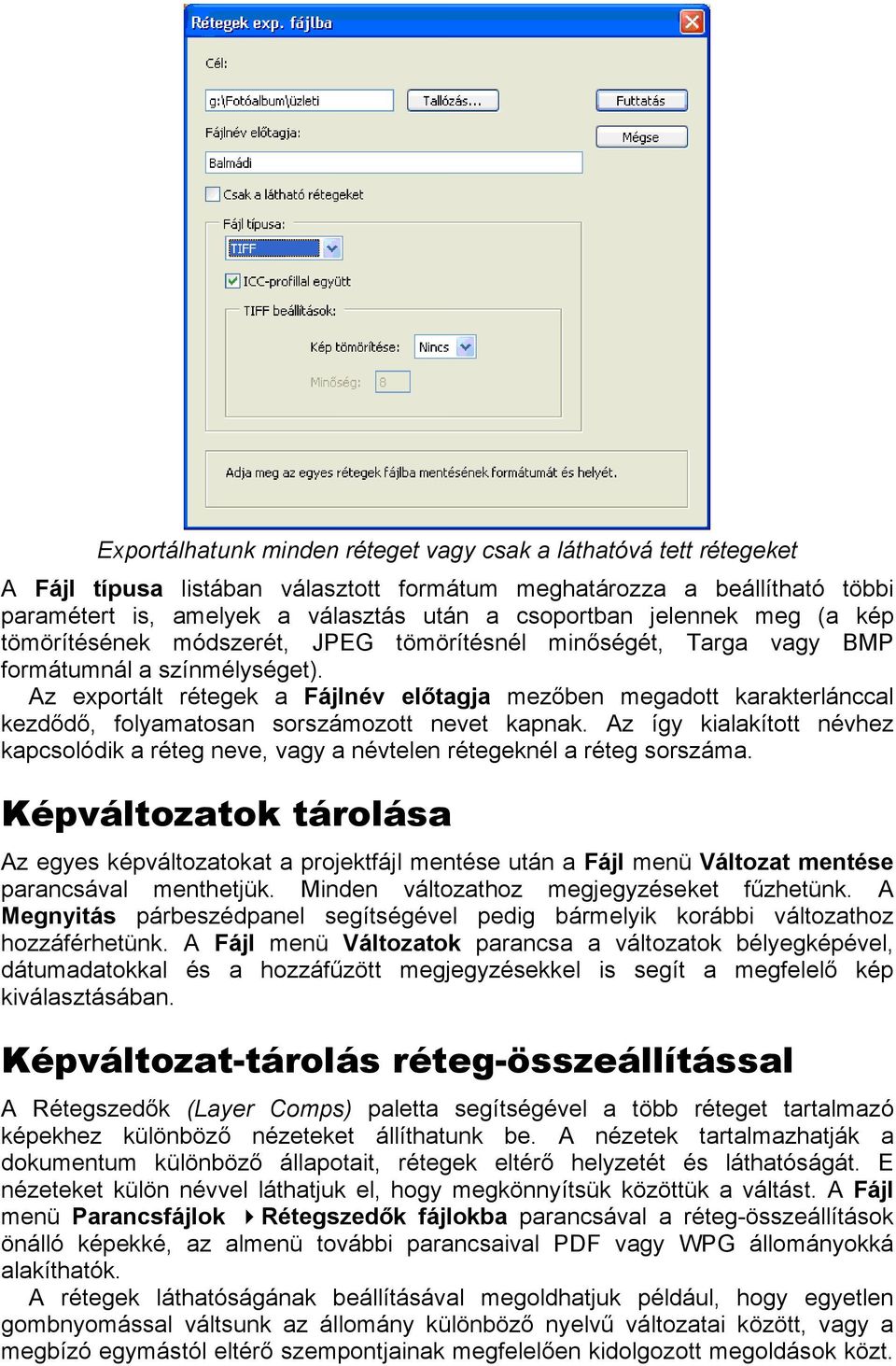 Az exportált rétegek a Fájlnév előtagja mezőben megadott karakterlánccal kezdődő, folyamatosan sorszámozott nevet kapnak.