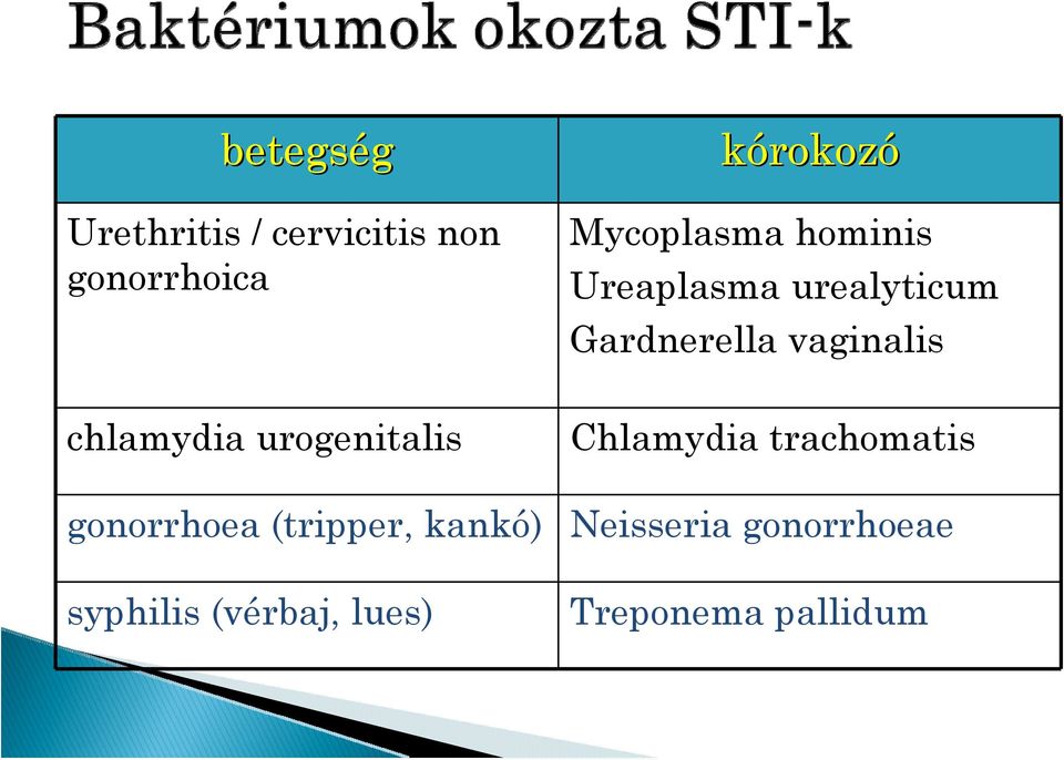 chlamydia urogenitalis Chlamydia trachomatis gonorrhoea