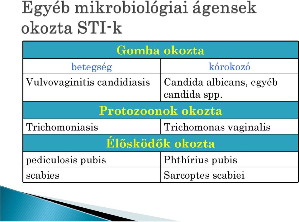 albicans, egyéb candida spp.