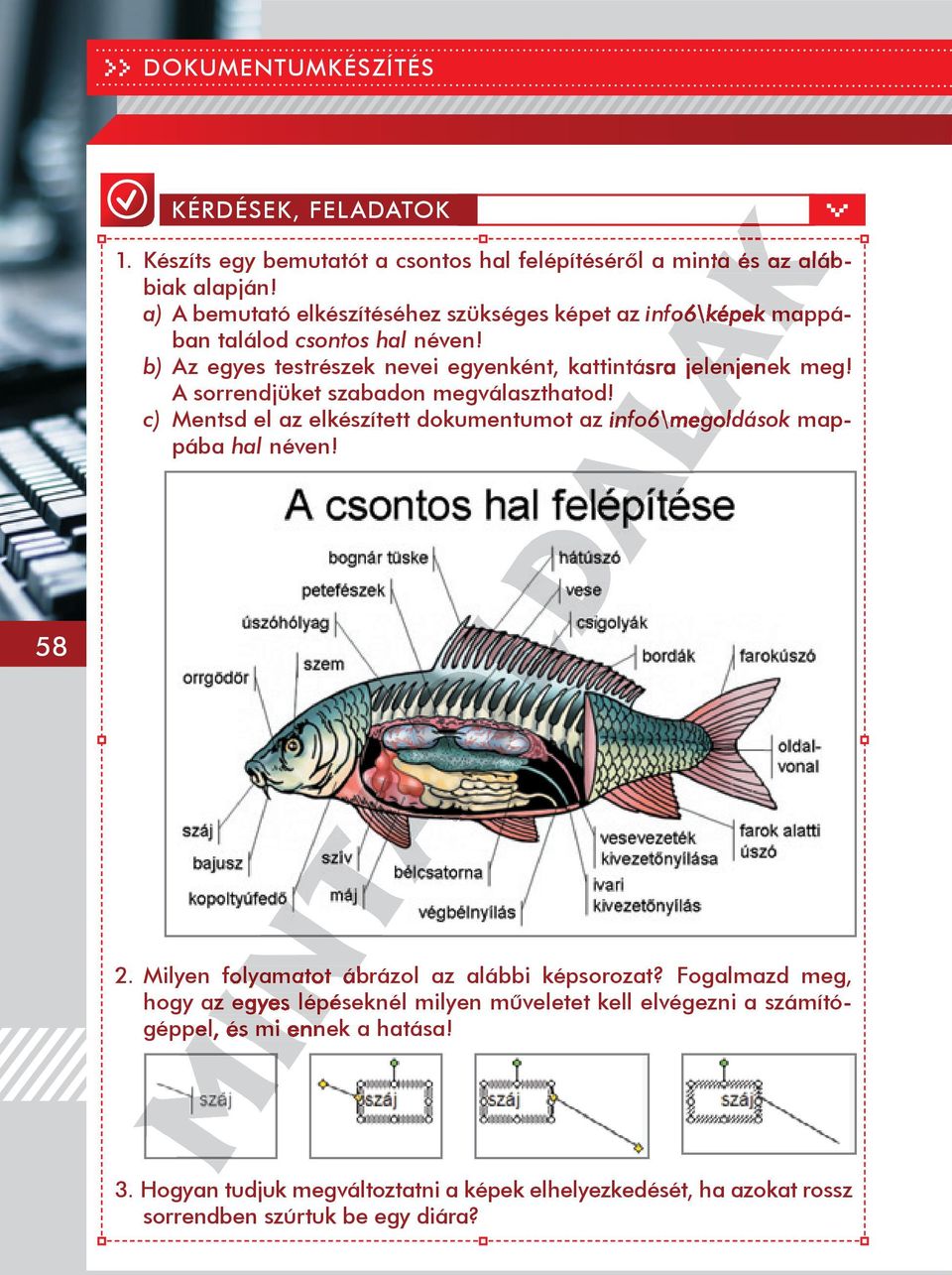 A sorrendjüket szabadon megválaszthatod! c) Mentsd el az elkészített dokumentumot az info6\megoldások mappába hal néven! 2. Milyen folyamatot ábrázol az alábbi képsorozat?