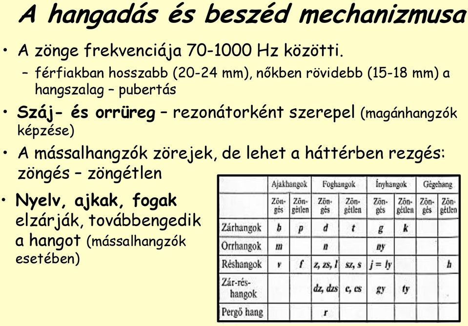 orrüreg rezonátorként szerepel (magánhangzók képzése) A mássalhangzók zörejek, de lehet a