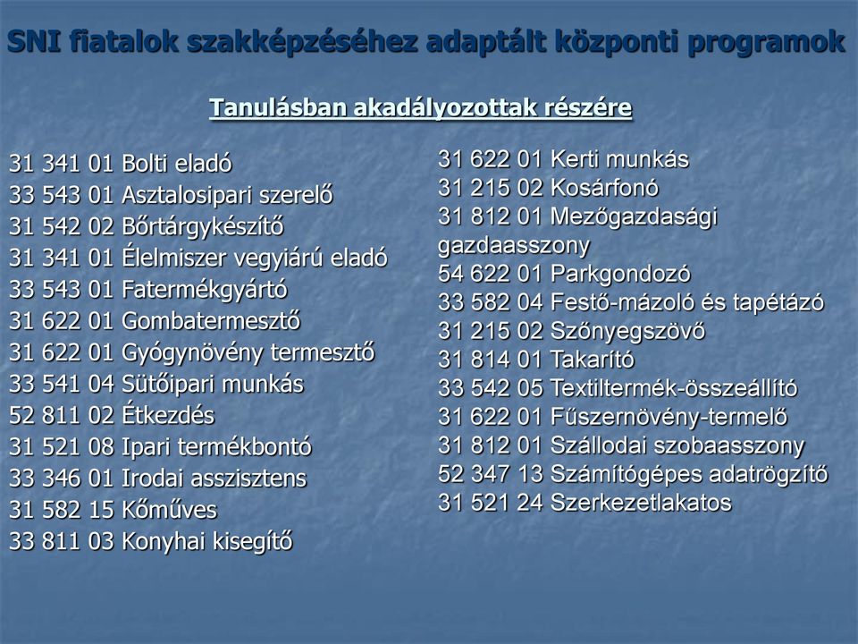 asszisztens 31 582 15 Kőműves 33 811 03 Konyhai kisegítő 31 622 01 Kerti munkás 31 215 02 Kosárfonó 31 812 01 Mezőgazdasági gazdaasszony 54 622 01 Parkgondozó 33 582 04 Festő-mázoló és tapétázó