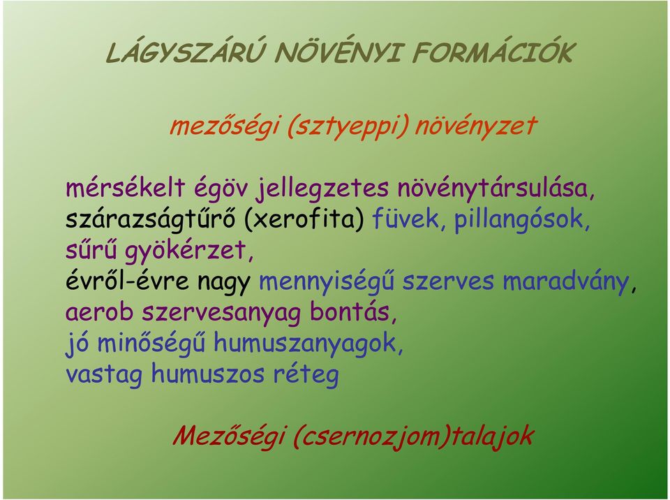 gyökérzet, évrıl-évre nagy mennyiségő szerves maradvány, aerob szervesanyag