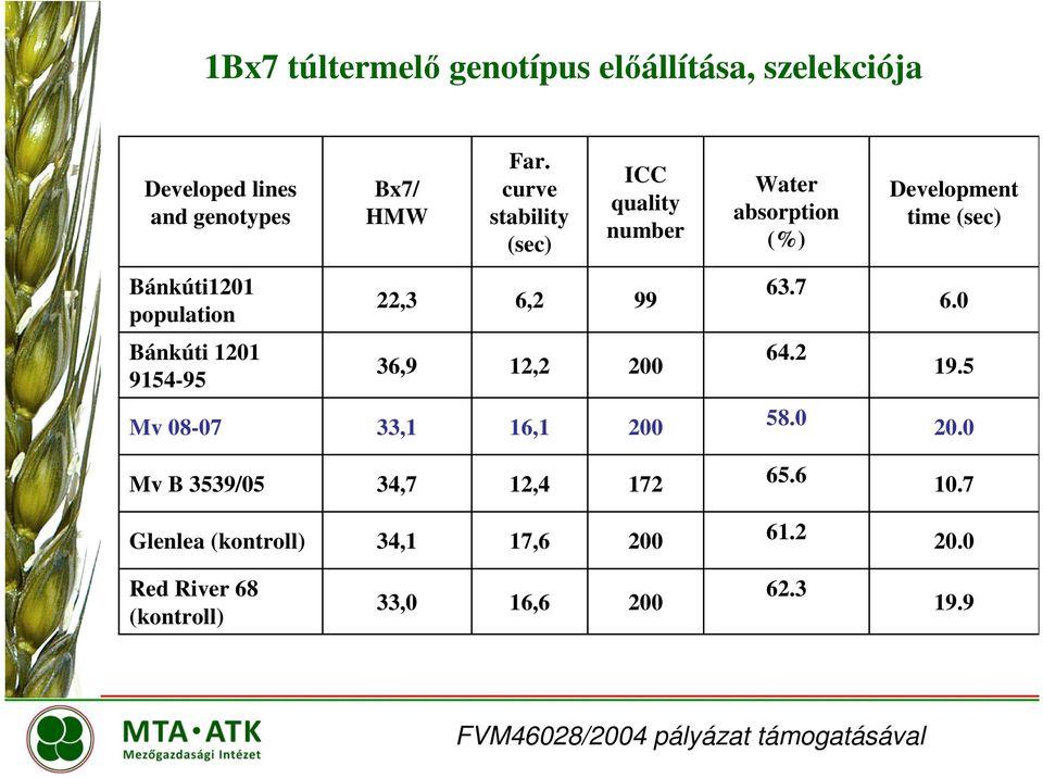 99 63.7 6.0 Bánkúti 1201 9154-95 36,9 12,2 200 64.2 19.5 Mv 08-07 33,1 16,1 200 58.0 20.